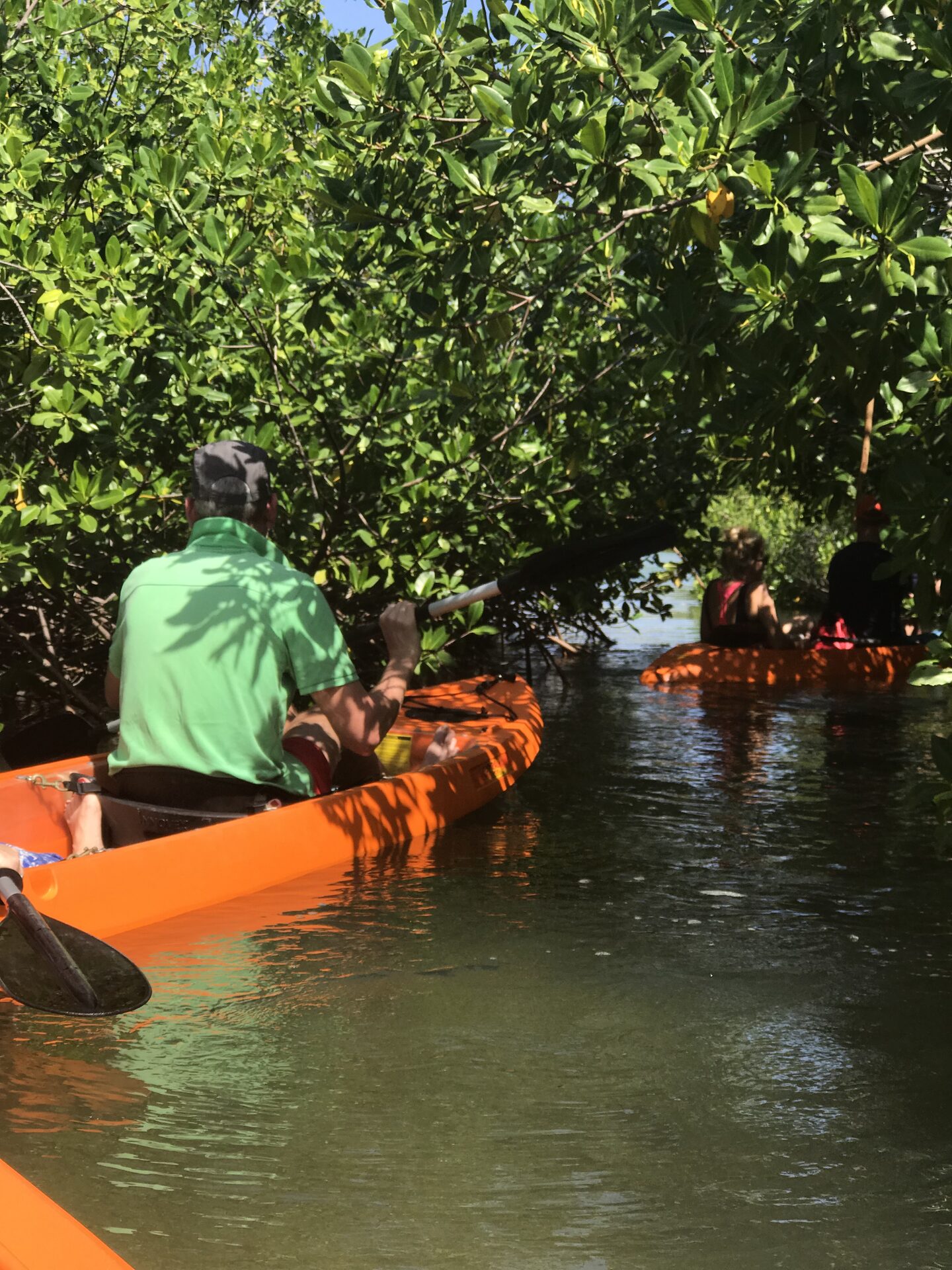 A guide paddles an orange kayak beneath the mangrove canopy on Bonaire, with other kayaks visible ahead through the branches.